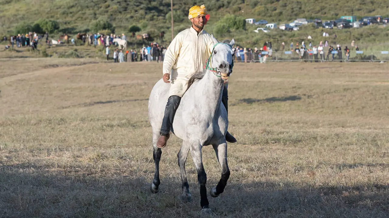 12ª Edición del Festival Internacional Mata en Marruecos logró registrar el evento como patrimonio inmaterial ante la ISESCO <strong>- PHOTO/ATALAYAR</strong>