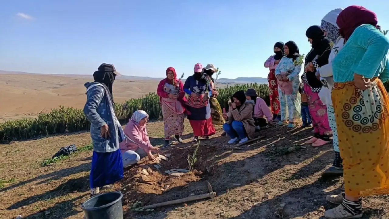 Perfeccionamiento de técnicas de plantación de árboles con miembros de una cooperativa en Marruecos (foto de la Fundación Alto Atlas, 2024)