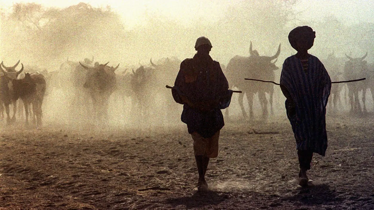 Miembros de clanes tuareg mientras pastorean ganado en la tierra entre Koygma y Tombuctú, en el norte de Mali - AP/JEROME DELAY