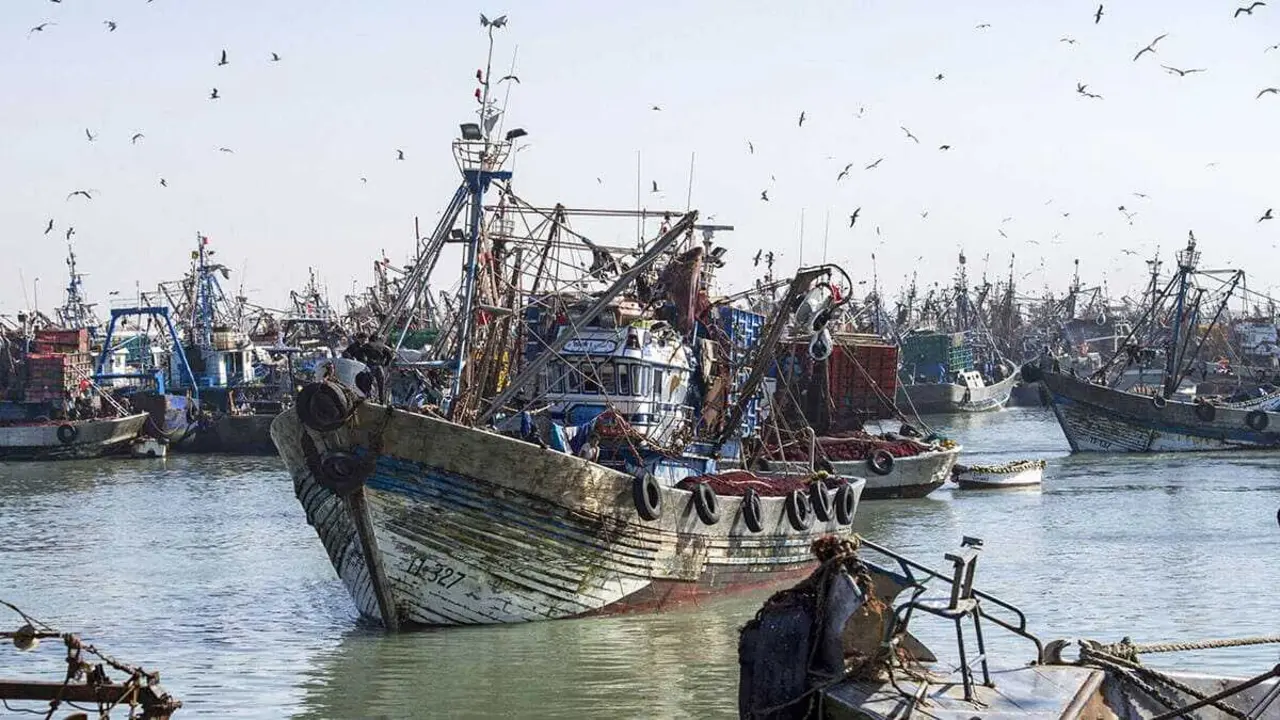 Un barco pesquero marroquí ingresa al puerto de la ciudad del Sáhara Occidental, El Aaiún - AFP/FADEL SENNA