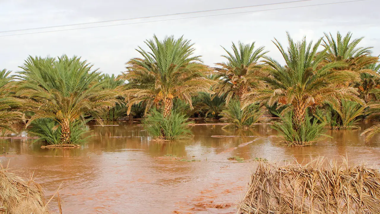 Un campo inundado en la región marroquí de Zagora el 7 de septiembre de 2024 - AFP/ SMAIL AIT HMAD