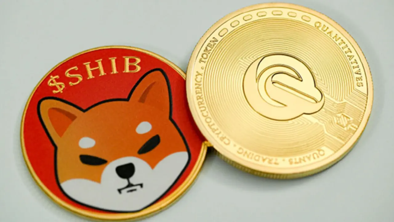 Shiba Inu