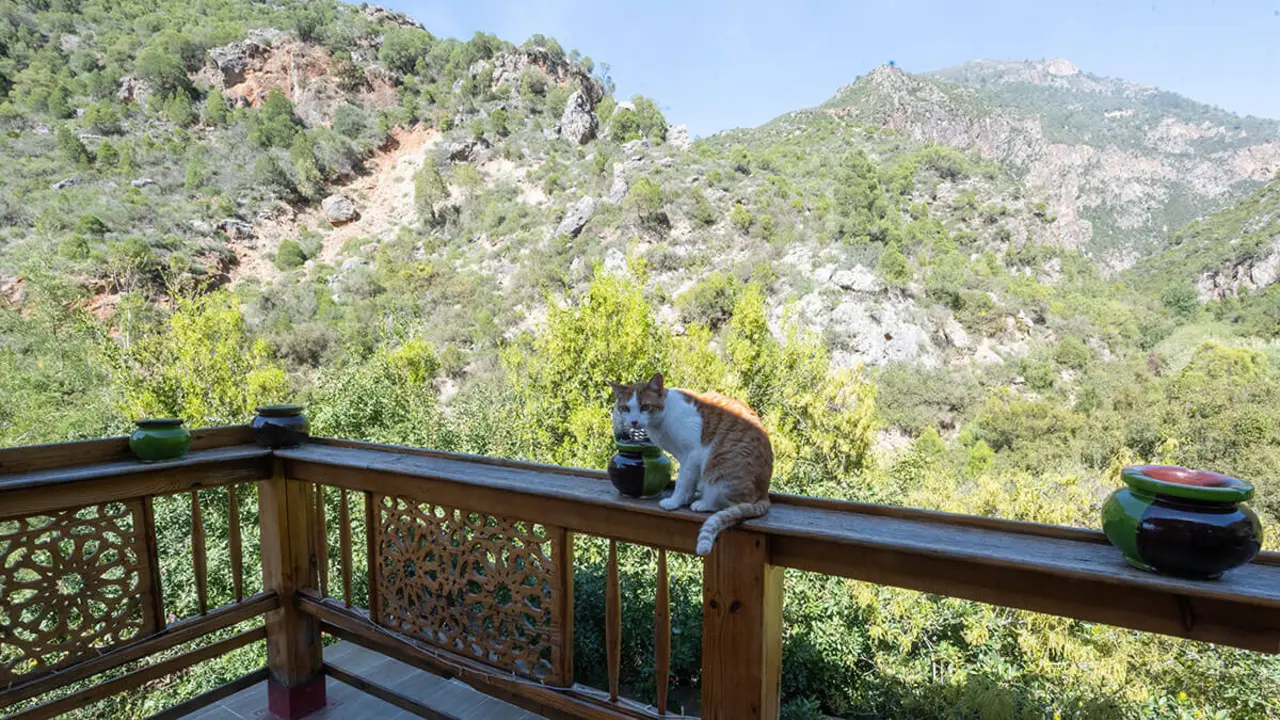Alrededores del hotel Ermitage D'Akchour en Marruecos - ATALAYAR/GUILLERMO LÓPEZ