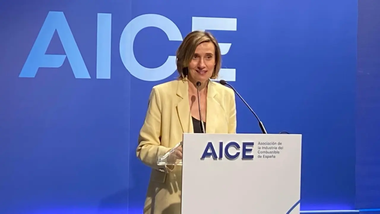 Olvido Moraleda, presidenta de AOP, presenta la nueva imagen del organismo, que ahora se denomina AICE - ATALAYAR