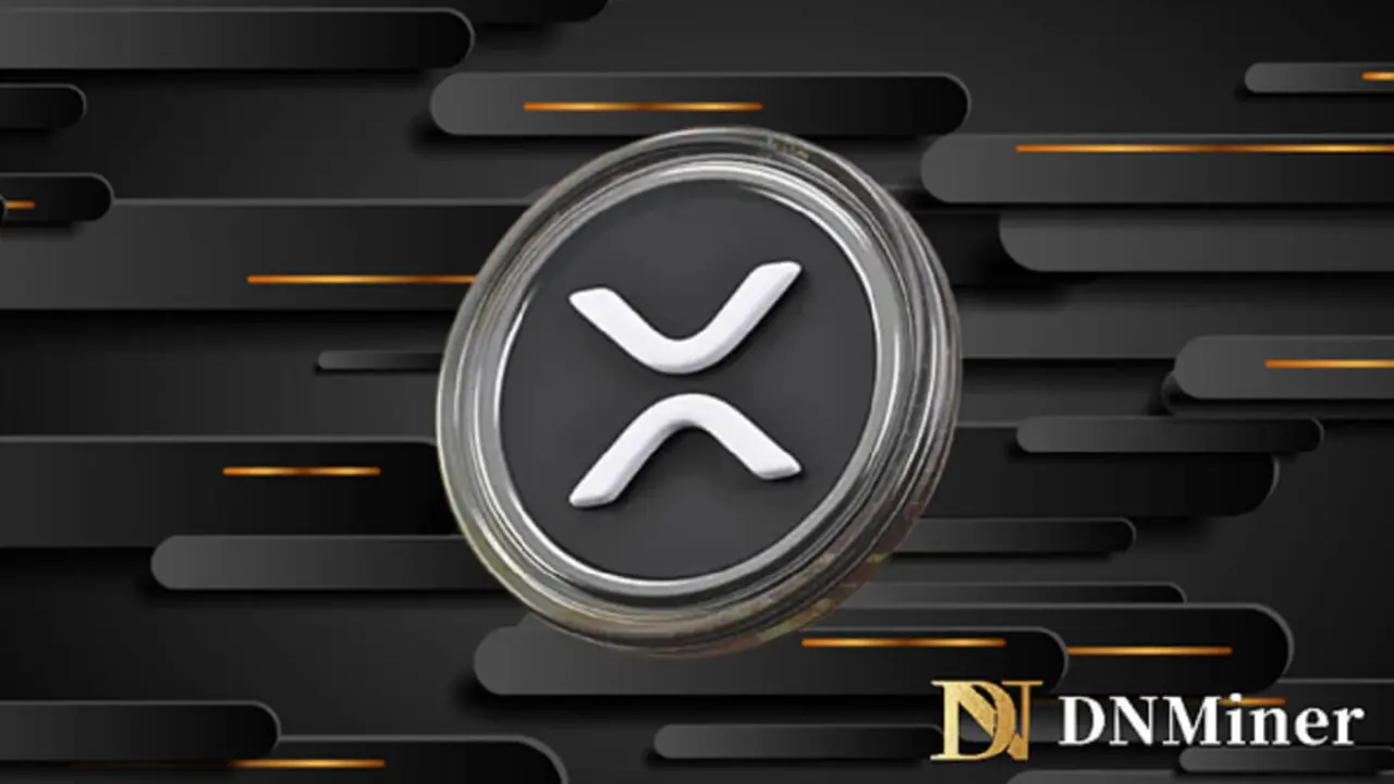 DN Miner