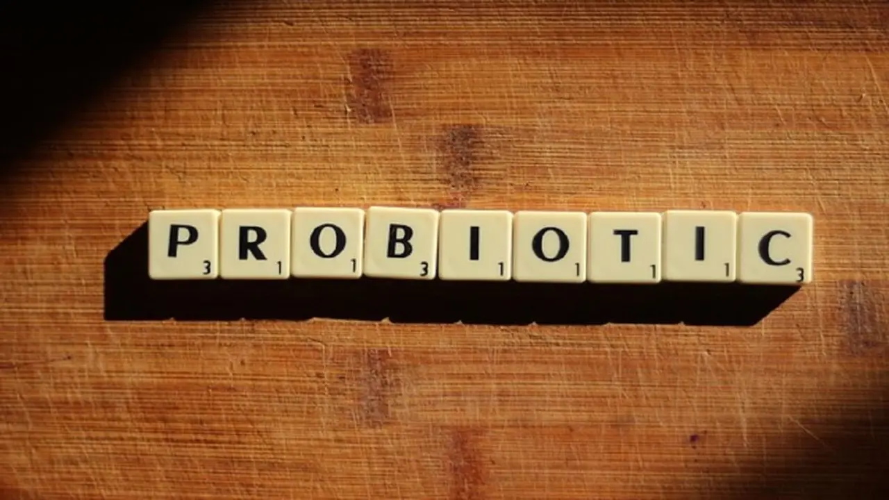 Probióticos - PHOTO/PIXABAY