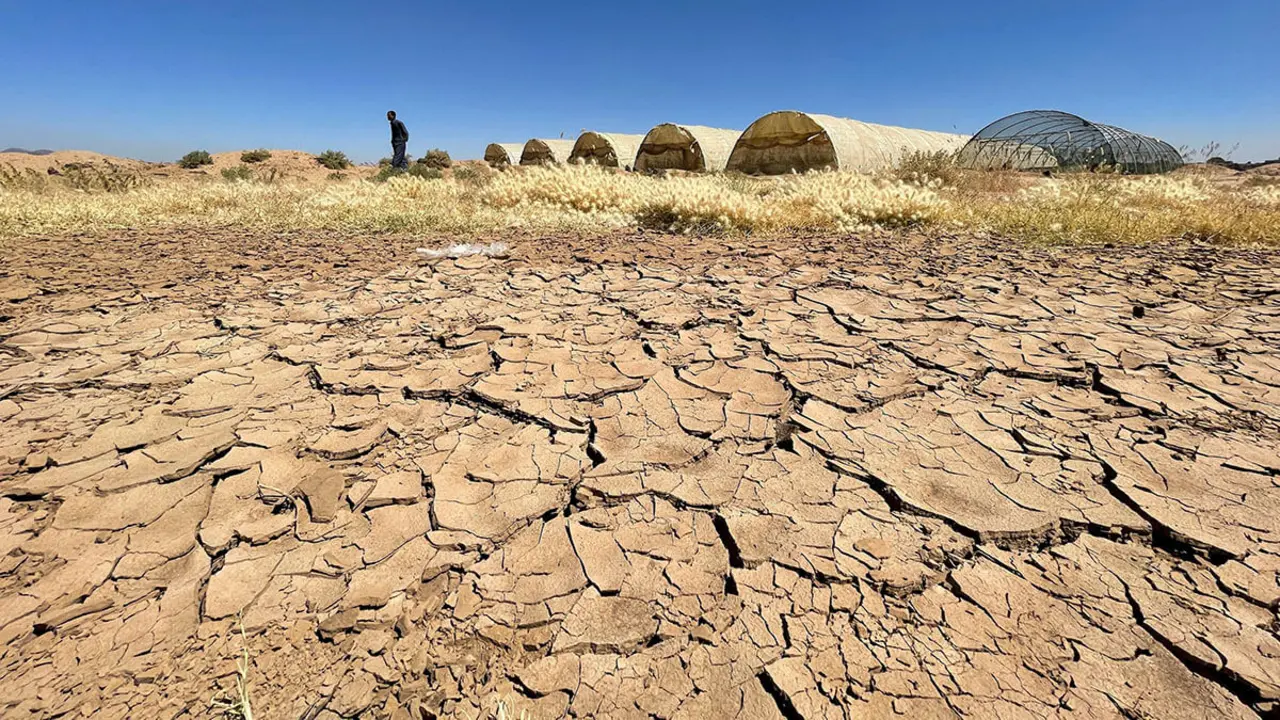 <p>Un agricultor camina por sus tierras, afectadas por la sequía, en las afueras de Saná, Yemen&nbsp;REUTERS/ KHALED - ABDULLAH&nbsp;</p>
