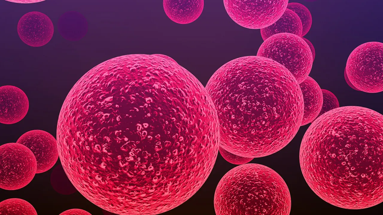 Bacterias del género Streptococcus responsables de la meningitis y otras enfermedades infecciosas graves – PHOTO/Shutterstock / Cinefootage Visuals