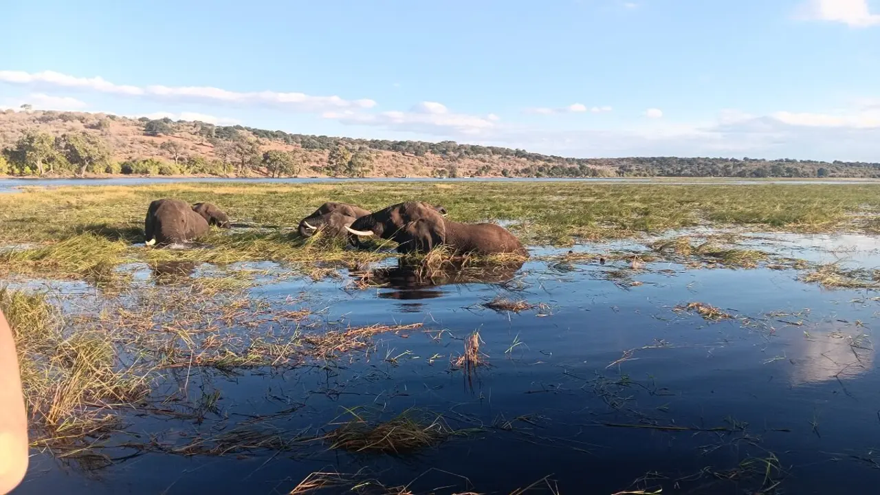 África