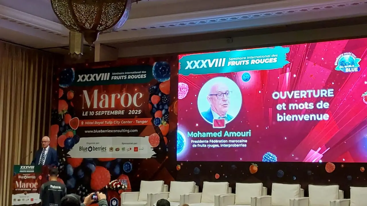 Mohamed Amouri presidente de Moroccan Interprofessional Federation of Red Fruits Interproberries