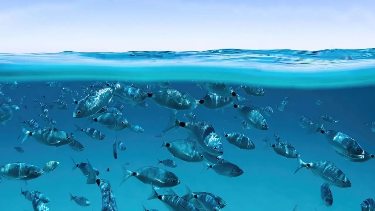 TNC_PC2022_63bed9c5f30bfc303144eb74f072df40-original_JPG