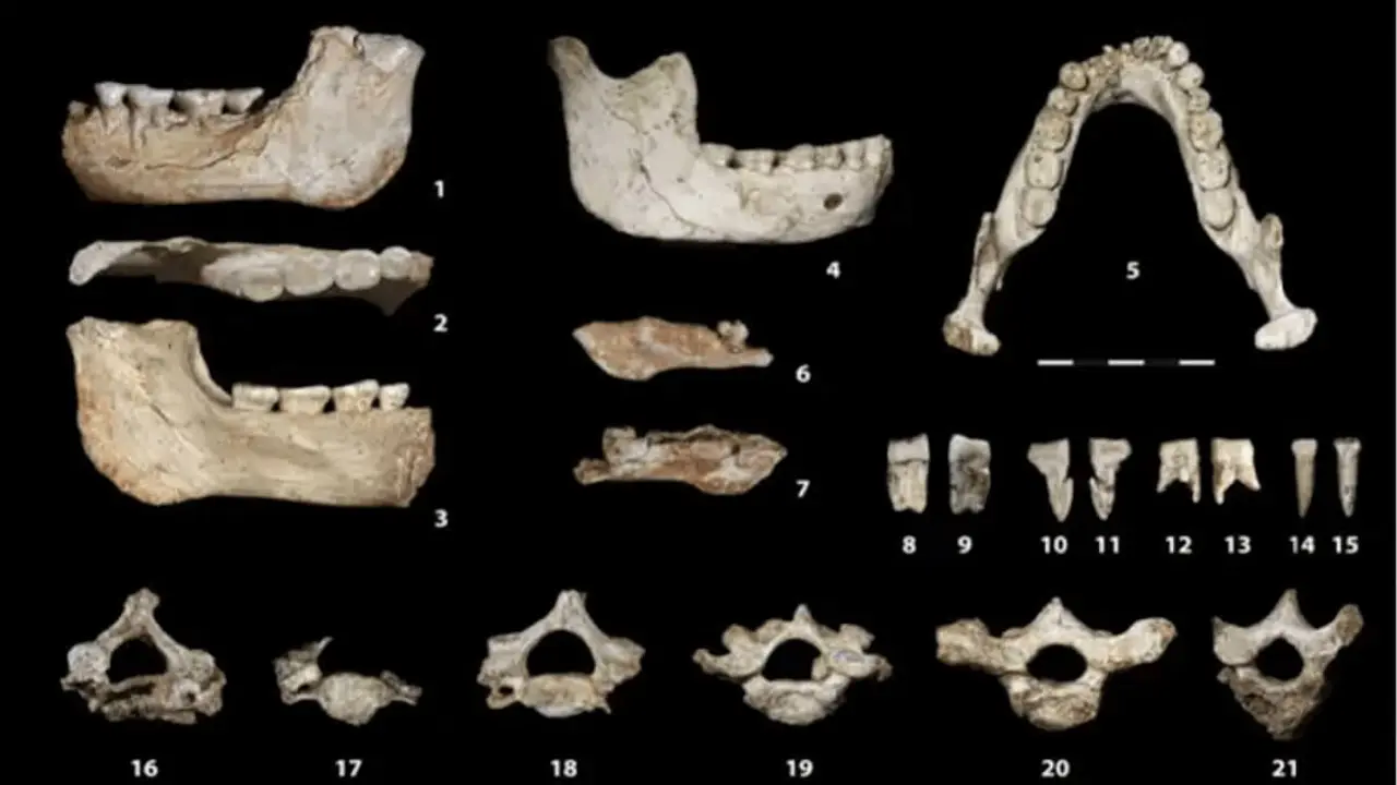 El origen africano, en lugar de euroasi&aacute;tico, del Homo sapiens est&aacute; hoy m&aacute;s respaldado gracias a la descripci&oacute;n y dataci&oacute;n de restos f&oacute;siles hallados en un yacimiento de Casablanca (Marruecos), que aportan nuevas pruebas de que &Aacute;frica es el origen de la especie humana. Ministerio de Cultura de Marruecos