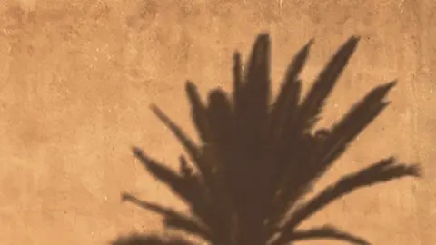 4C0619D7-C09B-491F-80CD-944B5BC3117D_1_105_c
