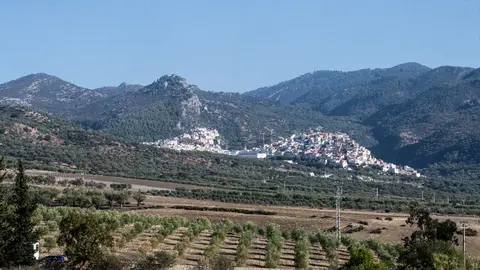 DSC_7086