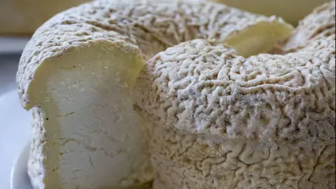 PHOTO/SALÓN GOURMET