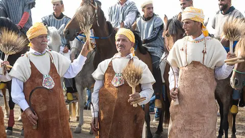 Festival Mata