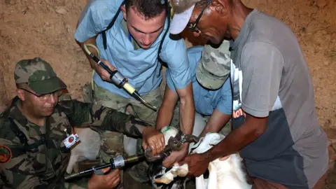 Ejercicios militares African Lion 2024 - PHOTO/X/@FAR_Maroc_
