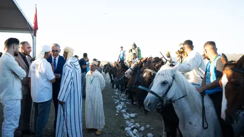 13ª edición del Festival Internacional Mata - ATALAYAR/GUILLERMO LÓPEZ