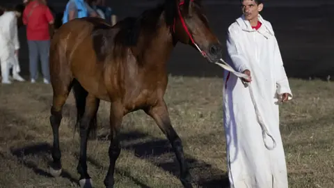 13ª edición del Festival Internacional Mata - ATALAYAR/GUILLERMO LÓPEZ