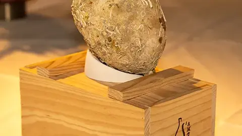 Cata de vinos organizada por el Ayuntamiento de Salou - PHOTO/Gema López