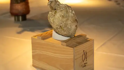 Cata de vinos organizada por el Ayuntamiento de Salou - PHOTO/Gema López