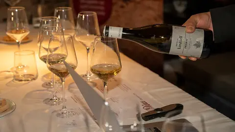 Cata de vinos organizada por el Ayuntamiento de Salou - PHOTO/Gema López