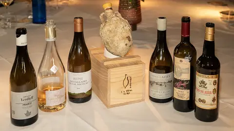 Cata de vinos organizada por el Ayuntamiento de Salou - PHOTO/Gema López