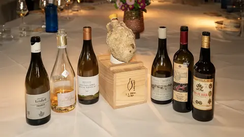 Cata de vinos organizada por el Ayuntamiento de Salou - PHOTO/Gema López