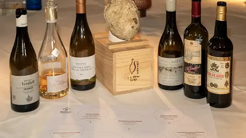 Cata de vinos organizada por el Ayuntamiento de Salou - PHOTO/Gema López