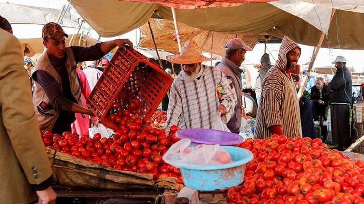 marruecos-agricultura