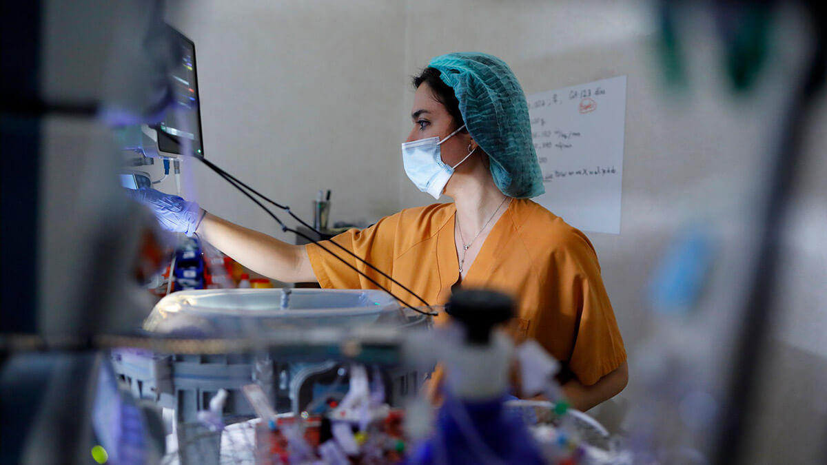El proyecto CaixaResearch Placenta Artificial logra una supervivencia de 12 días con buen estado fetal. © Fundación ”la Caixa”