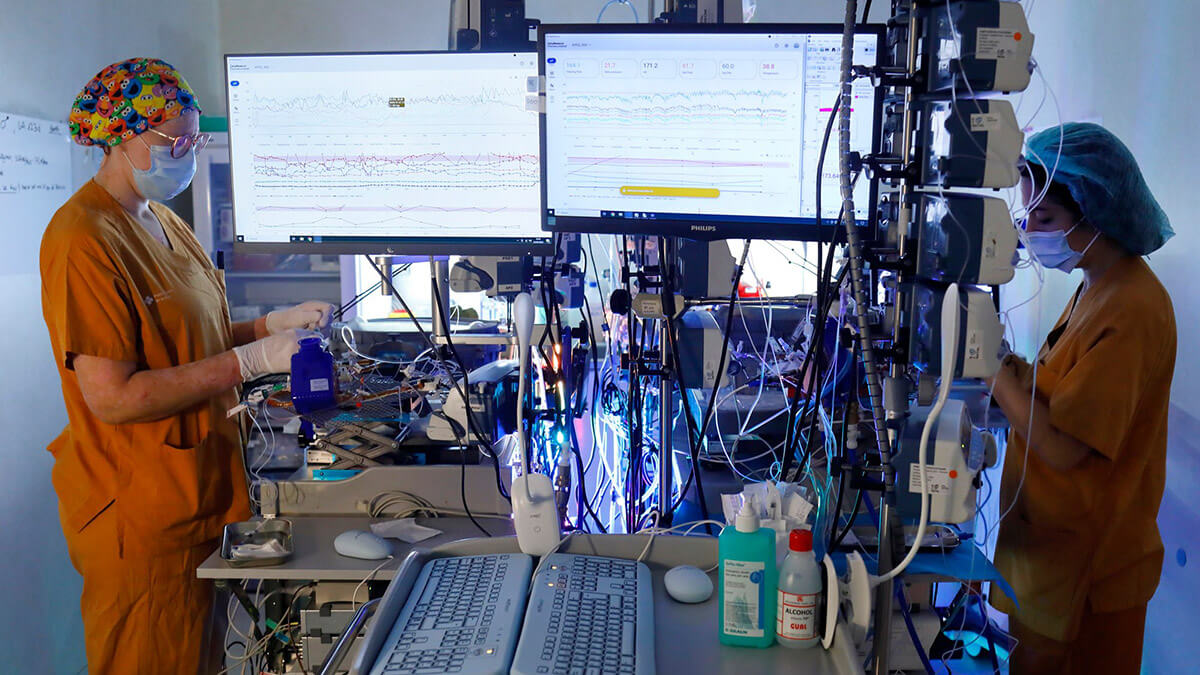 El proyecto CaixaResearch Placenta Artificial logra una supervivencia de 12 días con buen estado fetal. © Fundación ”la Caixa”,
