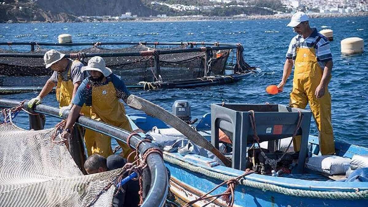 PHOTO/ARCHIVO - Barco pesquero en Marruecos