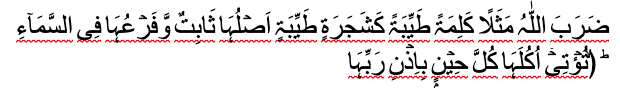 islam-9