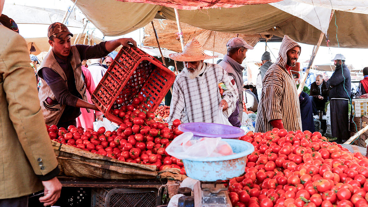 Mercado de verduras en las afueras de Casablanca - REUTERS/YOUSSEF BOUDDAL