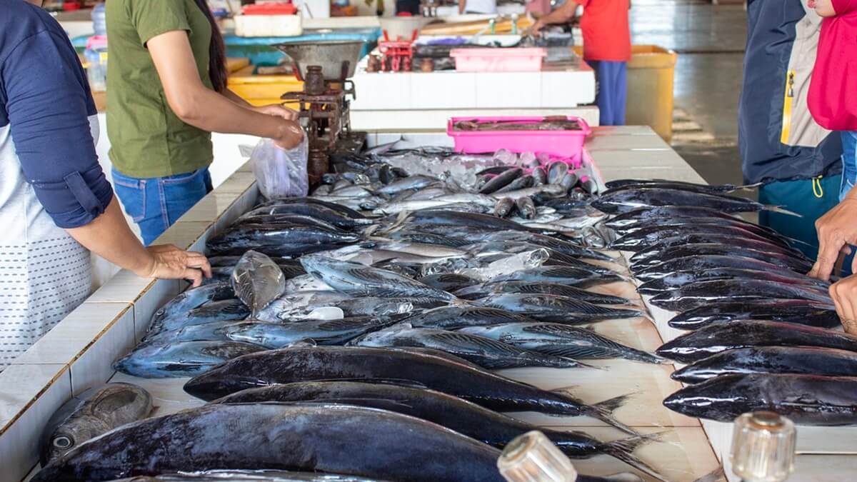Pescado fresco (PHOTO/PIXABAY)