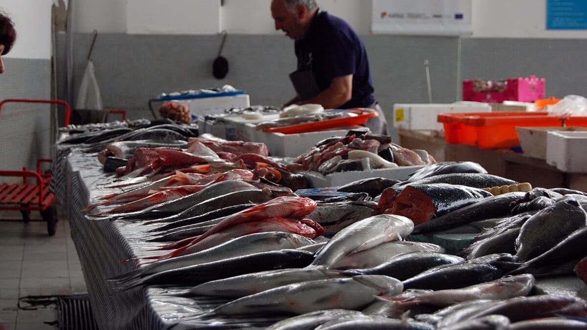 Pescado fresco (PHOTO/PIXABAY)