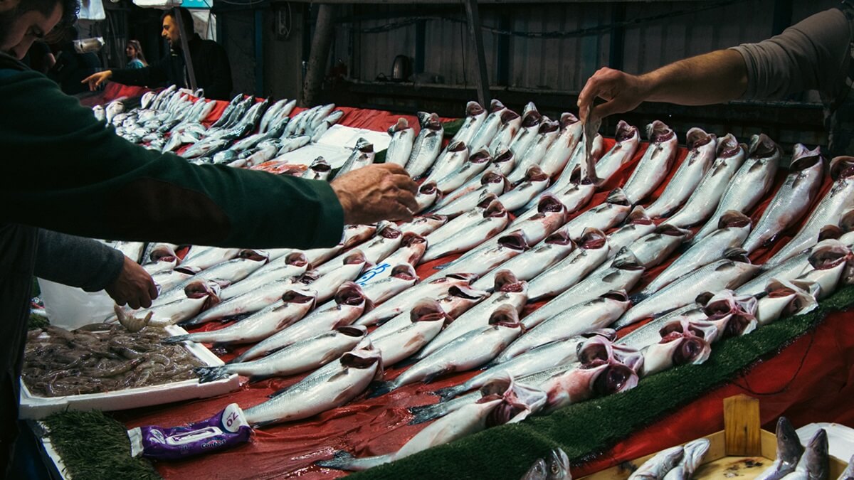 Pescadería marroquí (PHOTO/PEXELS)