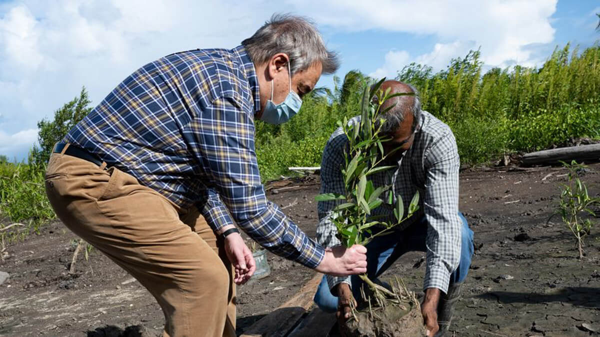 El secretario general António Guterres (izquierda) con Albert Ramdin, ministro de Asuntos Exteriores de la República de Surinam, plantan un mangle joven en el sitio de rehabilitación de manglares Weg Naar Zee en Surinam - ONU/Evan Schneider