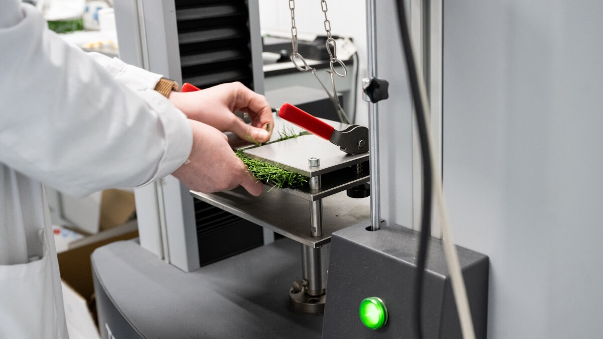 Análisis de césped artifical en el laboratorio de Igoid - PHOTO ATALAYAR