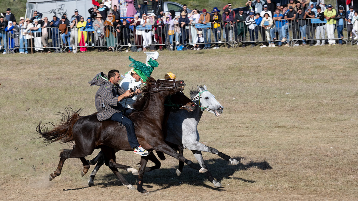 Festival Mata
