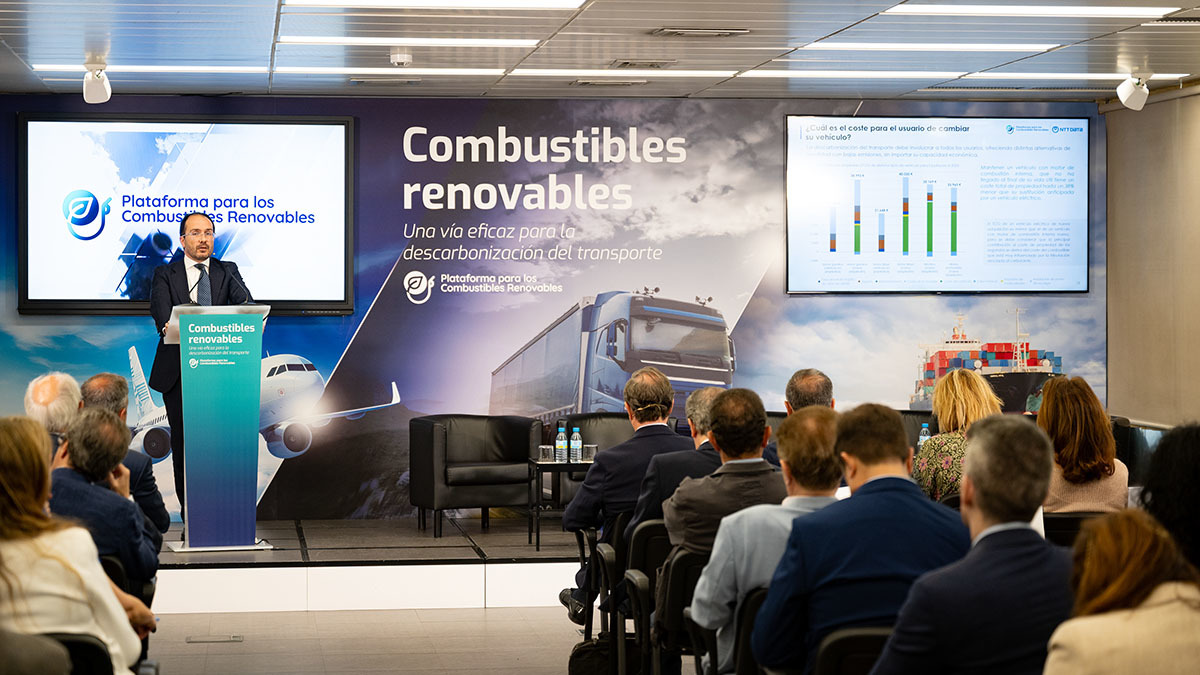 David Cuesta - Combustibles renovables