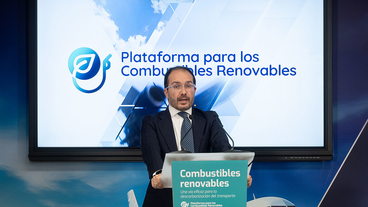 David Cuesta - Combustibles Renovables