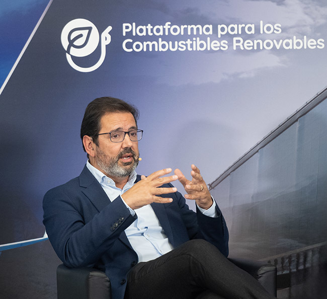 Javier Gándara - Combustibles renovables