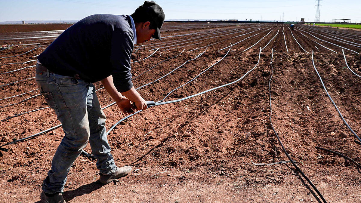 Un agricultor instala un sistema de goteo en un campo de patatas en Berrechid, una provincia de Marruecos históricamente rica en trigo situada a unos 40 kilómetros (unas 25 millas) al sureste de Casablanca, el 7 de febrero de 2024, en medio del sexto año consecutivo de sequía - AFP/FADEL SENNA