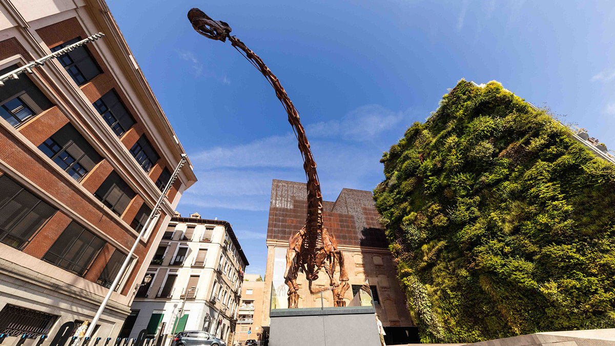 Los transeúntes podrán observar desde la calle la réplica del "Patagotitan mayorum" - PHOTO/Fundación "la Caixa"