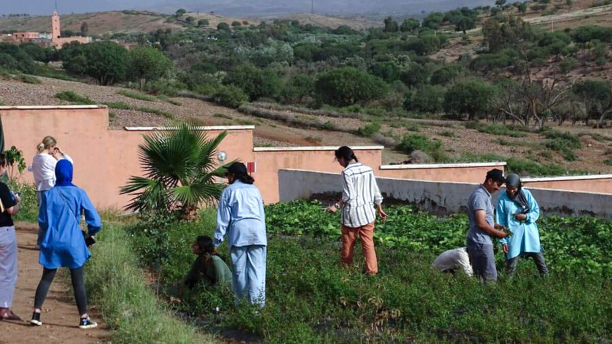 <p>El vivero de árboles de Akrich en la provincia marroquí de Al-Haouz que beneficia a las comunidades agrícolas de la región, construido sobre tierras prestadas sin costo por la comunidad judía marroquí - PHOTO/FUNDACIÓN HAF </p>