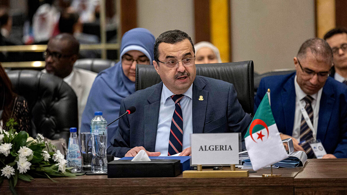 El ministro de Energía de Argelia, Mohamed Arkab - AFP/ KHALED DESOUKI