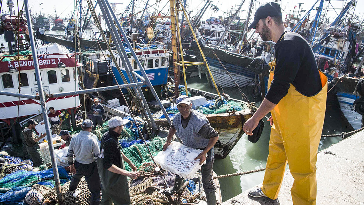 El plan Halieutis para una profunda transformación de la pesca marítima hacia una mayor sostenibilidad y competitividad - AFP/ FADEL SENNA