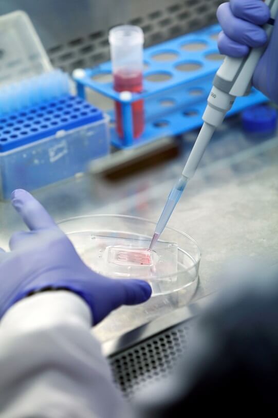 Un científico en un laboratorio - © Fundación "la Caixa"